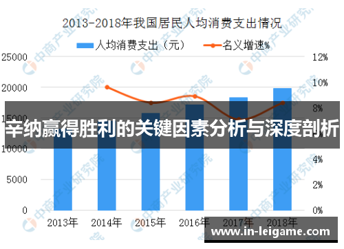 辛纳赢得胜利的关键因素分析与深度剖析