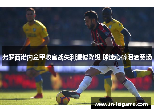 弗罗西诺内意甲收官战失利遗憾降级 球迷心碎泪洒赛场 弗罗西诺内意甲收官战失利遗憾降级 球迷心碎泪洒赛场