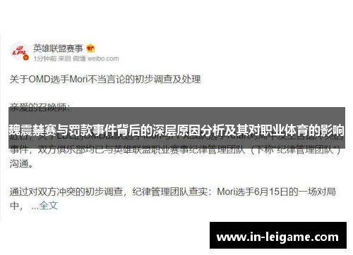 魏震禁赛与罚款事件背后的深层原因分析及其对职业体育的影响